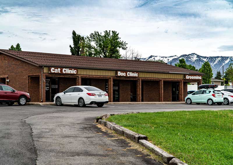 Animal Care Veterinary Hospitals